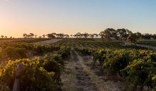 4 Day Wine Wildlife & Outback